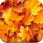 Logo of Autumn Wallpaper 4K android Application 