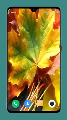 Autumn Wallpaper 4K android App screenshot 14