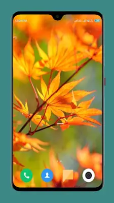 Autumn Wallpaper 4K android App screenshot 15