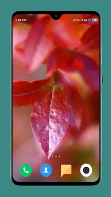 Autumn Wallpaper 4K android App screenshot 3