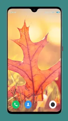 Autumn Wallpaper 4K android App screenshot 5