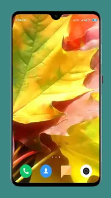 Autumn Wallpaper 4K android App screenshot 6