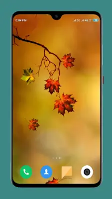 Autumn Wallpaper 4K android App screenshot 8